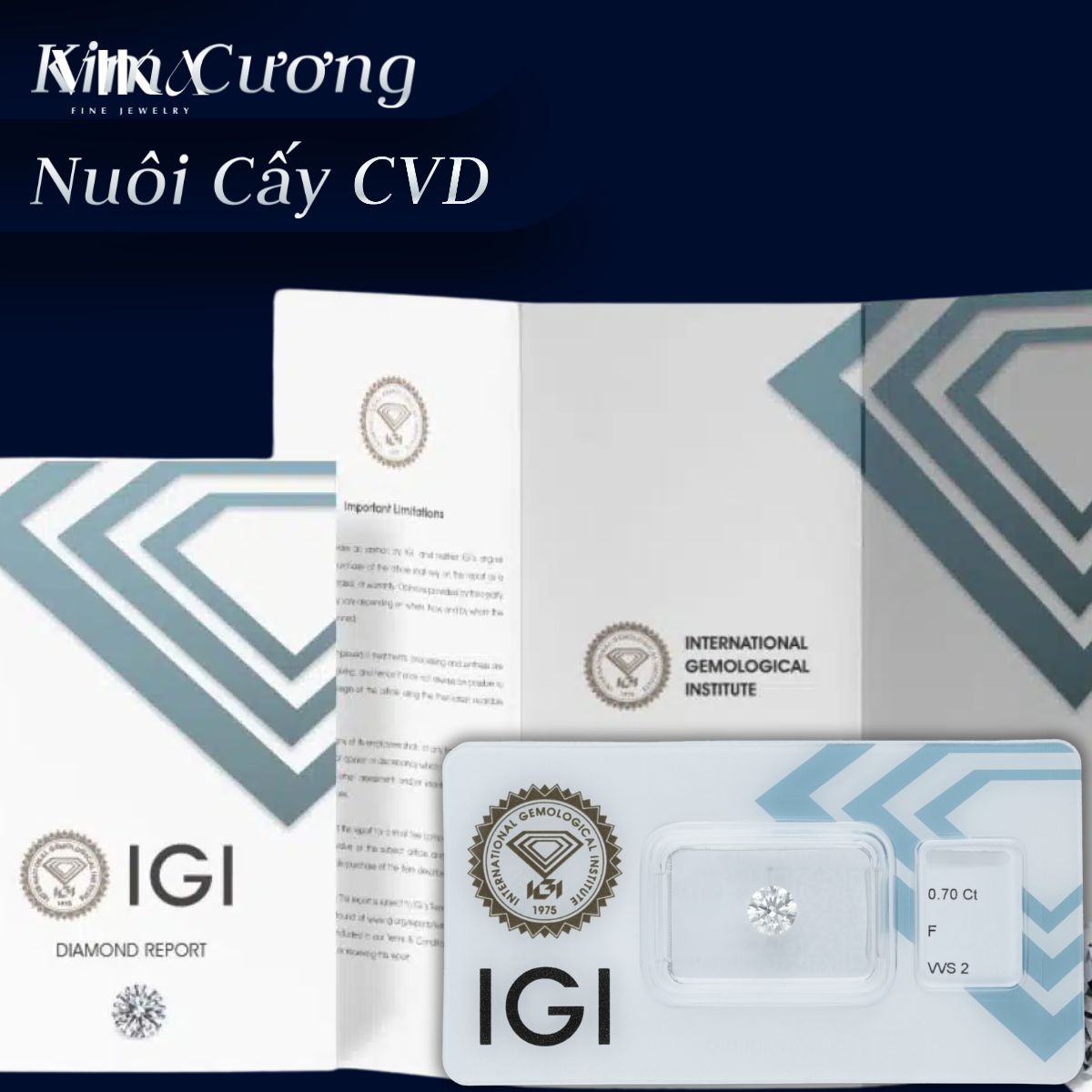 Kim Cương Nuôi Cấy Cvd Kim Cương Nuôi Cấy Cvd