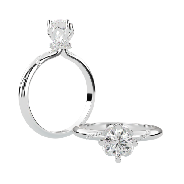 Vỏ Nhẫn Kim Cương Nữ N005