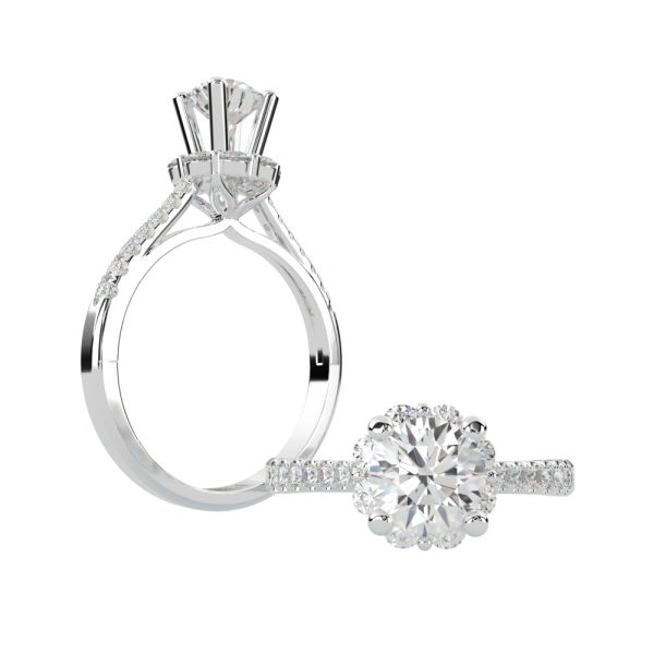 Vỏ Nhẫn Kim Cương Nữ N002